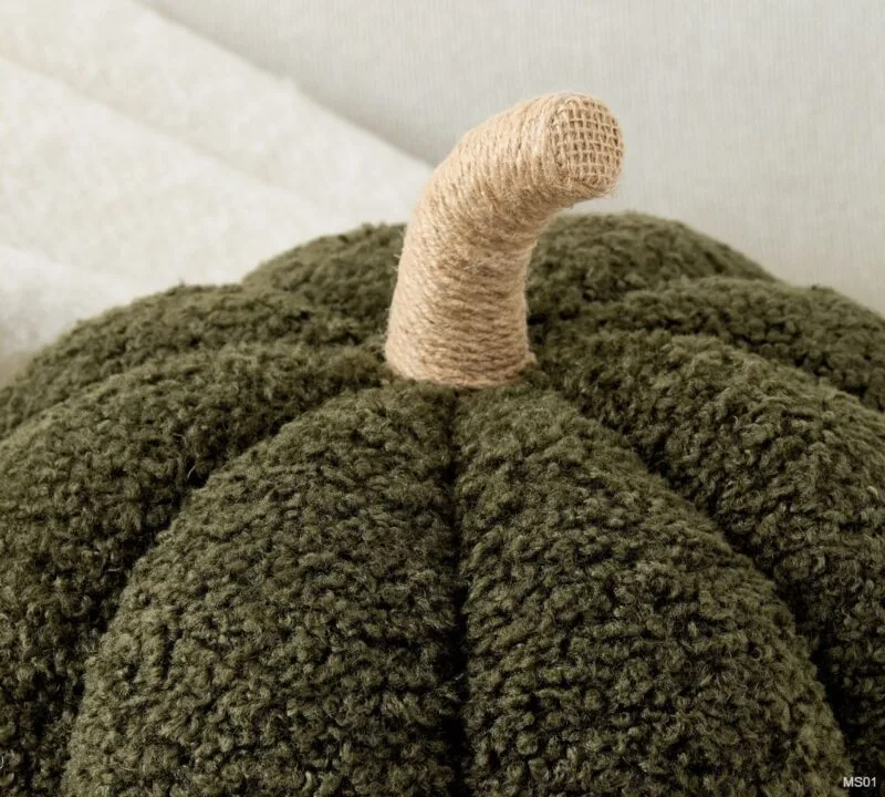 Cozy Pumpkin Pillow