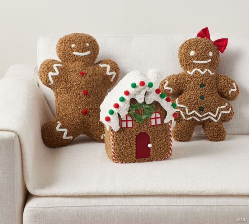 Mr. Spice Gingerbread Pillow