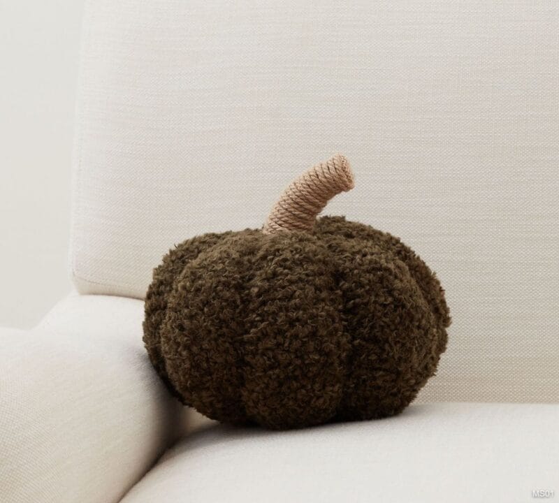 Cozy Pumpkin Pillow