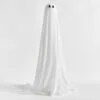 Lit Ghosts