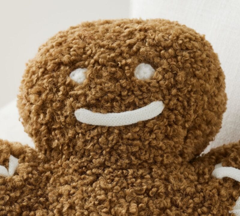 Mr. Spice Gingerbread Pillow