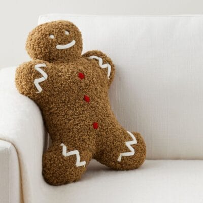 Mr. Spice Gingerbread Pillow