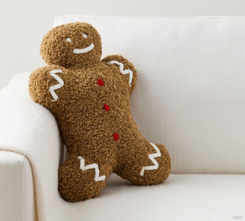 Mr. Spice Gingerbread Pillow